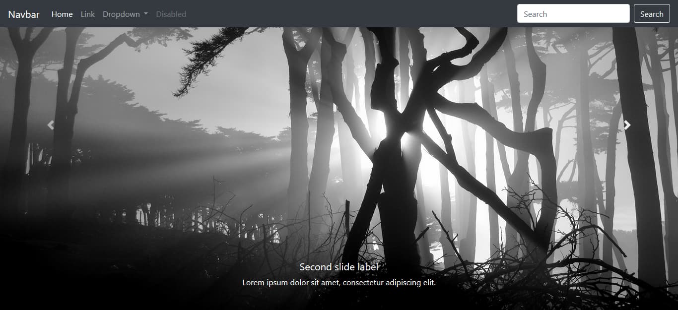 Screenshot of website on Bootstrap